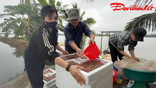 Về Hải Phòng săn 'lộc trời'