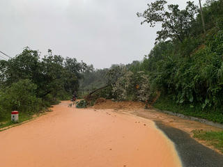 Quảng Trị: Mưa to gây ngập lụt, xuất hiện sạt lở ở một số vị trí