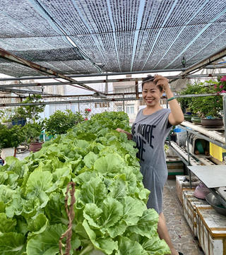 Mở lối cho nông nghiệp đô thị phát triển hiệu quả