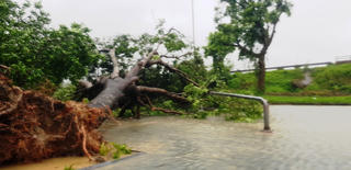 Cảnh báo lũ quét, sạt lở đất các khu vực từ Hà Tĩnh đến Khánh Hòa