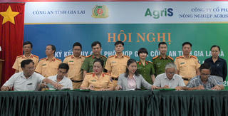 Gia Lai: Doanh nghiệp vận tải ký kết không chở mía quá khổ, quá tải