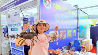 Đưa cua Cà Mau vươn xa