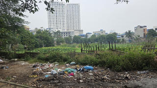 Phường Nam Định (Ninh Bình): Hồ nước bị bỏ hoang giữa lòng đô thị