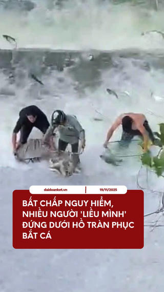 Bất chấp nguy hiểm, nhiều người 'liều mình' đứng dưới hồ tràn phục bắt cá