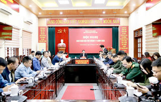 Tuyên Quang sẵn sàng cho mùa Lễ hội hoa Tam giác mạch 2025

