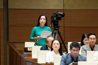 Đại biểu Quốc hội: Cần chính sách đặc thù để phát triển “đại học tinh hoa”