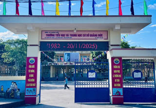 Quảng Ninh: Bổ nhiệm Hiệu trưởng trường tiểu học không đạt chuẩn chức danh? 