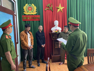 Đà Nẵng: Bắt 2 đối tượng trộm cây mai vàng 