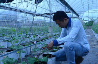 Giữ chân người trẻ ở lại ruộng đồng - Bài 2: Gập ghềnh “đường” làm giàu từ nông nghiệp