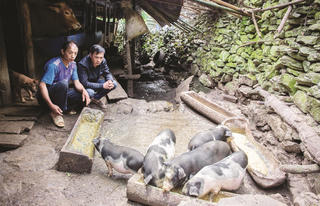 Thu hẹp khoảng cách vùng đồng bào dân tộc thiểu số và miền núi