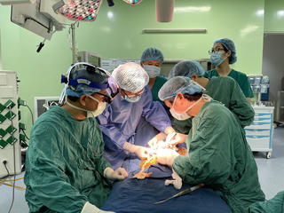 Ứng dụng tế bào gốc hỗ trợ điều trị teo đường mật bẩm sinh ở trẻ em