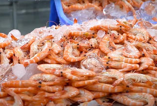 Thương mại giữa Việt Nam và khối CPTPP trong 10 tháng năm 2025 tăng 20,6%
