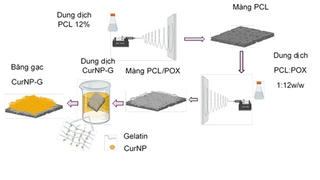Hướng đi mới cho vật liệu y sinh “Made in Vietnam”