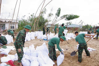 Gia Lai: Khẩn cấp khắc phục 2 tuyến đê vỡ ở xã Tuy Phước