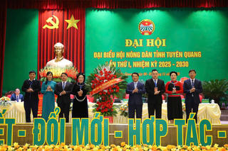 Bà Chu Thị Ngọc Diệp giữ chức Chủ tịch Hội Nông dân tỉnh Tuyên Quang