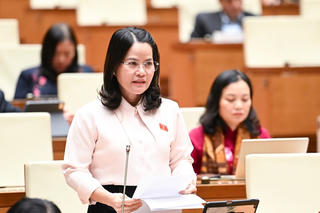 Đại biểu Quốc hội: Cơ chế thử nghiệm không phải là “miễn trừ trách nhiệm”