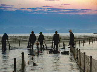 Trả lại bãi triều, mặt nước sạch cho vùng biển Quảng Ninh 