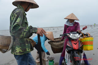 Quảng Ninh: Hải sản chết bất thường, nghi do hoá chất