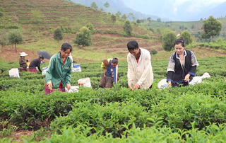 Phát huy hiệu quả chính sách, đời sống bà con vùng dân tộc thiểu số đổi thay từng ngày