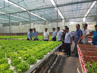 Hợp tác xã kiểu mới: “Cú hích” cho nông nghiệp đô thị TP Hồ Chí Minh - Bài 2: Những hợp tác xã kiểu mới ở TP Hồ Chí Minh: Bài học từ thực tiễn