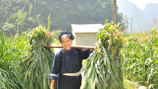 Tràng Xá - Thái Nguyên: Giảm nghèo thông tin – “Cú huých” thoát nghèo