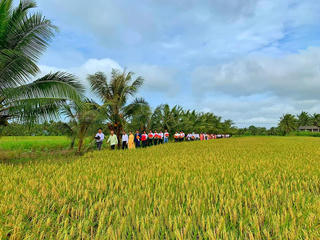 'Hái hoa dân chủ' trong đám cưới