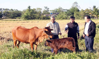 Bắc Ninh: Hỗ trợ người dân tiếp cận khoa học-công nghệ, kinh tế số để mở rộng sinh kế