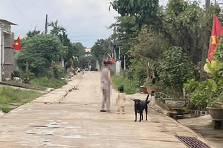 Gia Lai: Bé trai tử vong sau 2 tháng bị chó cắn