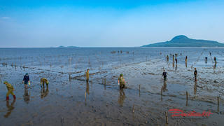 Quảng Ninh: Ra quân dẹp nạn lấn chiếm bãi triều, mặt nước