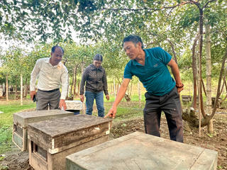 Hướng đi mới cho đặc sản táo Bàng La