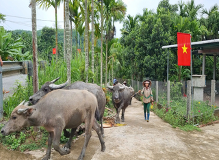 Đưa thông tin giảm nghèo đến gần dân hơn