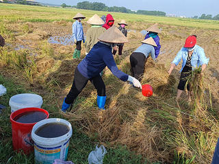 Lan tỏa những mô hình sáng tạo, bền vững của phụ nữ