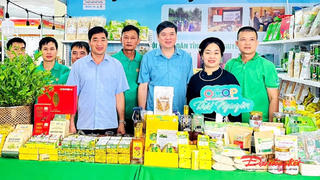 Thái Nguyên: Khơi dậy vai trò của nông dân trong phát triển nông nghiệp hiện đại