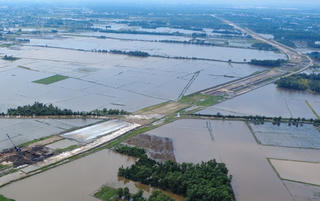 TP Hồ Chí Minh: Chuẩn bị xây dựng Khu đô thị Đại học Quốc tế khoảng 900ha ở xã Xuân Thới Sơn