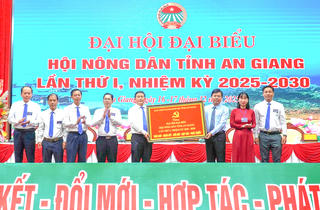 Hội Nông dân An Giang phát huy hiệu quả vai trò liên kết “4 nhà”, nâng cao giá trị sản xuất
