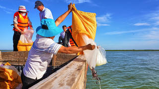 Thả 65.000 con cá giống xuống hồ Dầu Tiếng để tái tạo nguồn thuỷ sản