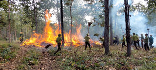 Vườn quốc gia Yok Đôn chủ động “tổng diễn tập” bảo vệ rừng trước mùa khô khốc liệt