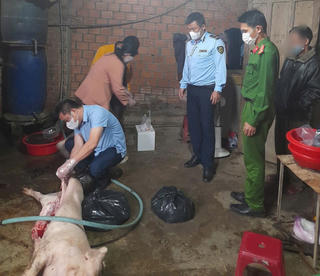 Quảng Ngãi: Phát hiện cơ sở mua bán, giết mổ lợn chết đưa ra thị trường tiêu thụ