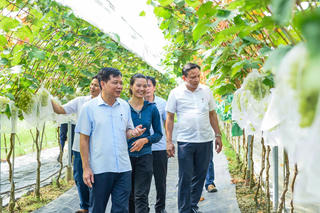 Xây dựng nông thôn mới sau sáp nhập ở Thanh Hóa - Bài 1: Chính quyền giữ vai trò kiến tạo