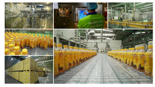 Từ công nghệ vô trùng đến đam mê vô địch: Hành trình Number 1 tiếp năng lượng cho hàng triệu người Việt