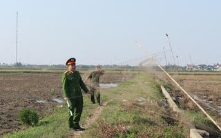 Quyết liệt truy quét nạn tận diệt chim trời