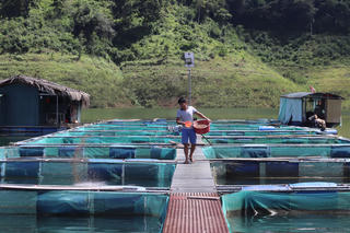 Giảm nghèo bền vững ở Thanh Hóa: Triển khai đồng bộ, kết quả rõ nét từ cơ sở