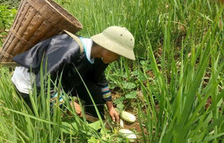 Biến tiềm năng thành sinh kế bền vững trong xây dựng Nông thôn mới