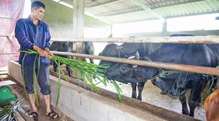 Truyền thông và công nghệ số trong giảm nghèo đa chiều