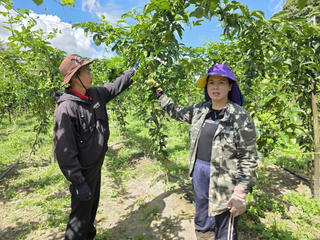 Nông sản Việt chinh phục EU 