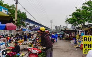 Hà Nội lên lộ trình giải quyết dứt điểm vấn nạn “chợ cóc”