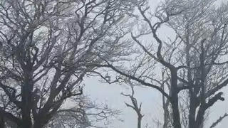 Cao Bằng: Nhiệt độ giảm mạnh, đỉnh Phia Oắc xuất hiện băng giá