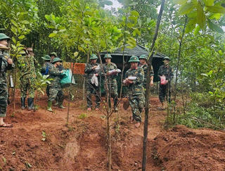 Quảng Trị: Cất bốc được 2 hài cốt liệt sĩ ở rừng tràm