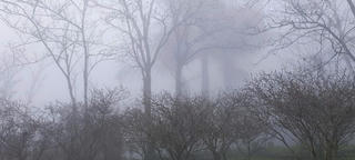 “Vườn thượng uyển” mờ sương giữa núi rừng Sapa
