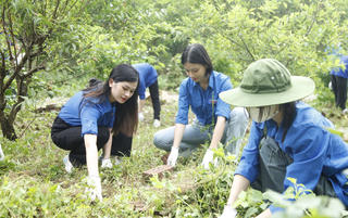 Những khu dân cư xanh sạch đẹp